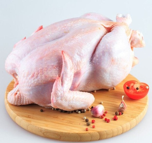 Chicken Meat